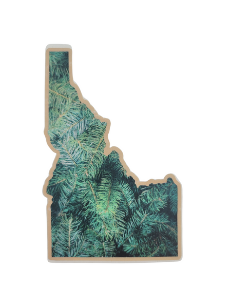 Big Idaho Pine Sticker