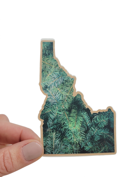 Big Idaho Pine Sticker