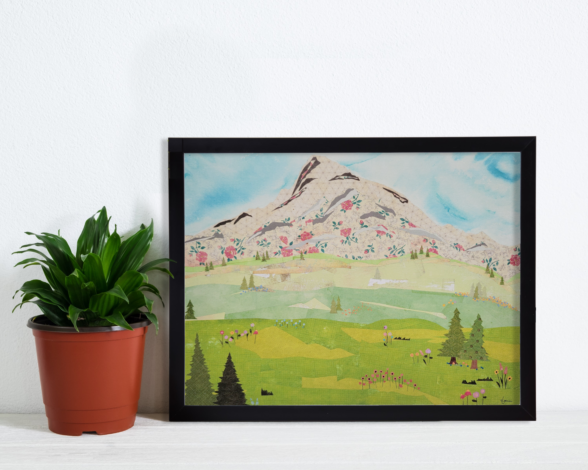 Flower Fields