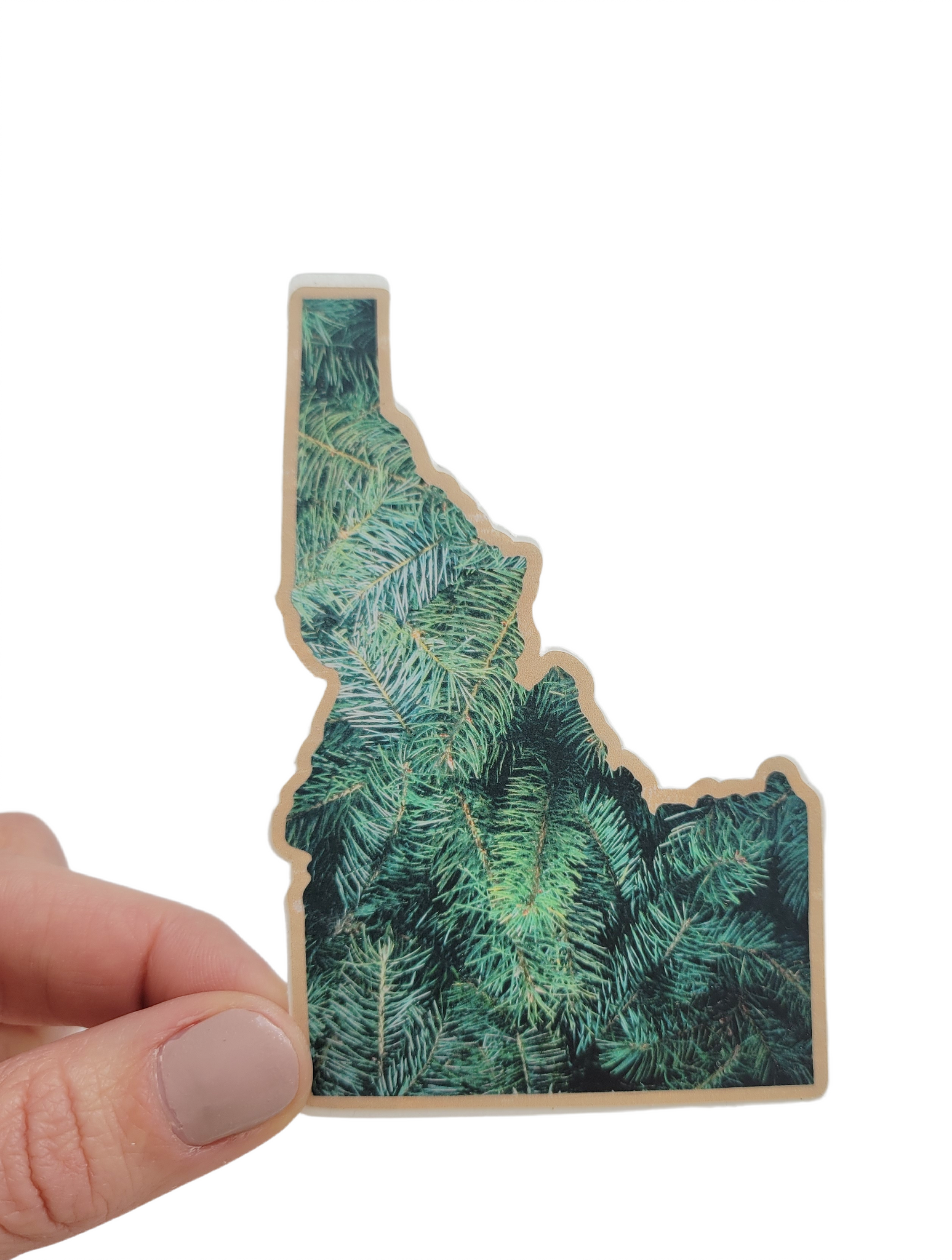 Big Idaho Pine Sticker