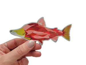Salmon Sticker